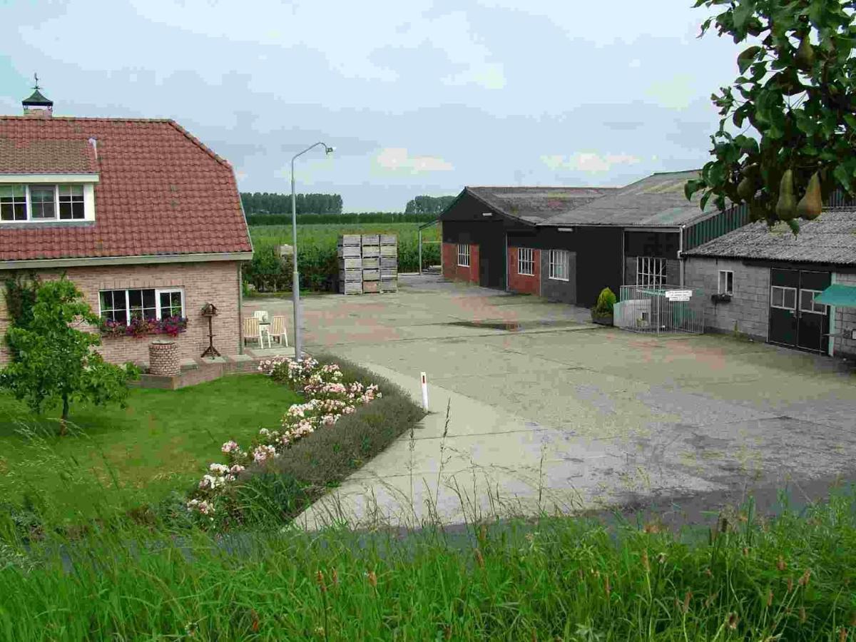 Chalet Elstar Hengstdijk Ngoại thất bức ảnh